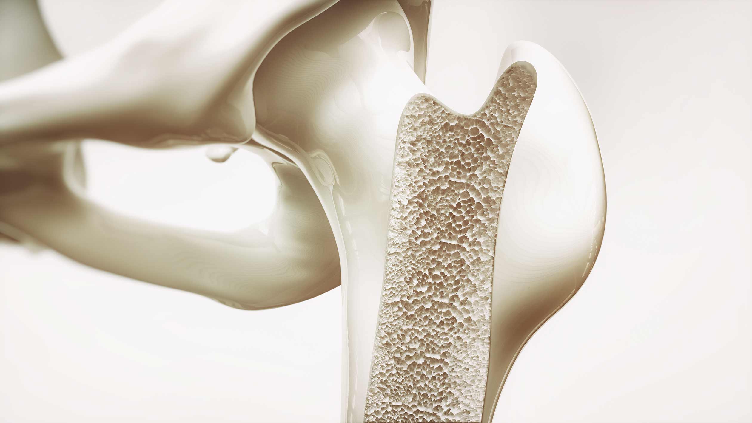 Bioceramics