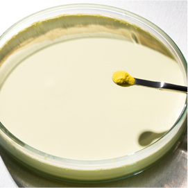 Phospors powder and slurry