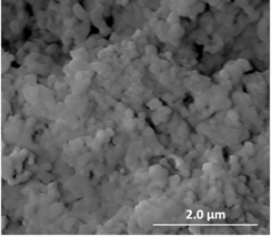 Baikalox alumina MGO doping morphology-SEM