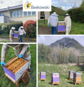 Beehive installation